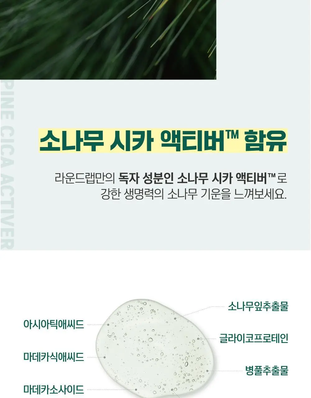 [쿨링/결진정] 라운드랩 소나무 진정 시카 패드 50매 상세페이지 11